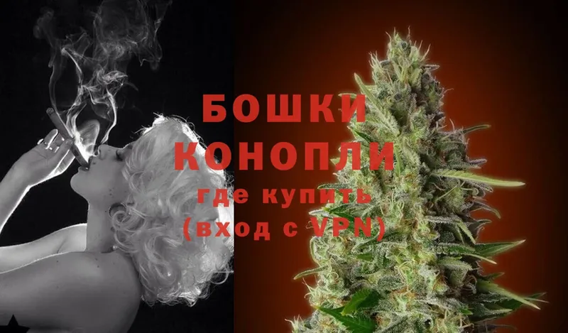 где купить наркотик  Вязьма  мега рабочий сайт  Бошки марихуана LSD WEED 